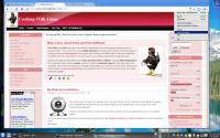 Screenshot programu Chromium 29.0.1502.0 